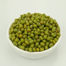 2017 Small Green Mung Bean For Sprouting