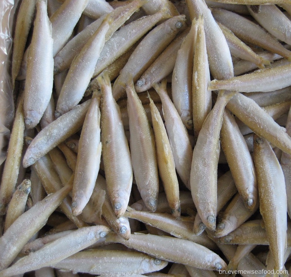 হিমায়িত সীফুড পুকুরের গন্ধ