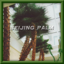 preserved palm leaf frond,dry palm leaf,artificial leaf