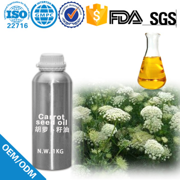 OEM 100%Pure Essential Oil Carrot seed oil