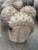 12 1/4used tricone bit, rerun tricone bit, roller bit, retipped tricone bit for water well