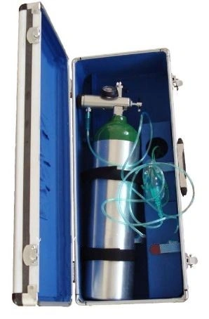 Bag-Type Aluminum Oxygen Supply System (2.5L Set)