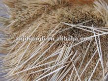 One Point Natural Bamboo Toothpick