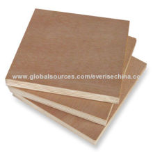Plywood with Bintangor, Okoume, Birch, Lauan and Poplar Face or Back