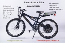 E Bike/Electric Bicycel/E-Bike 1000W (SEB350L)
