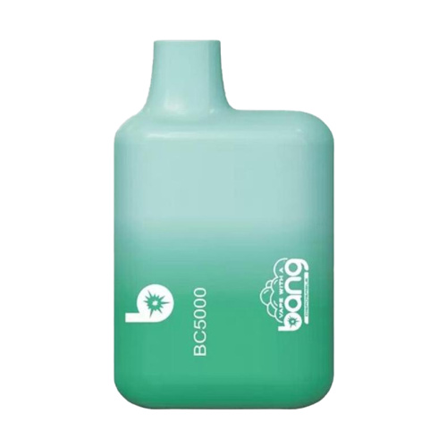 Wholesale High Quality Price Bang 5000 Puffs