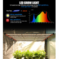 650W LM301B LED植物育成ランプ