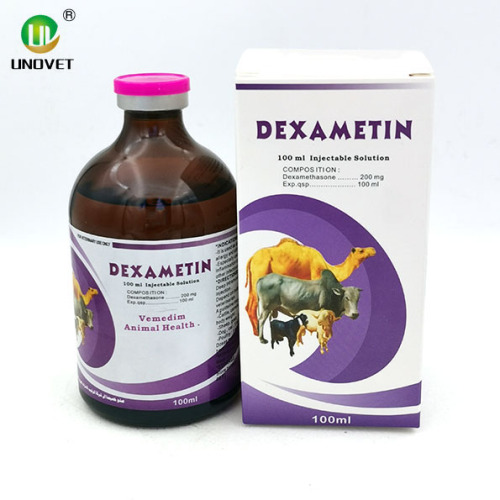 Veterinary Drug Dexamethasone Use In Sheep