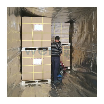 Container Foil Insulation Bags for Cool Packaging