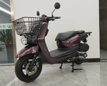 125CC 150cc Deliver Scooter Moped