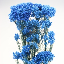 Wrapping Dried Flower Bouquets: Preserved Flower Rice Flowers