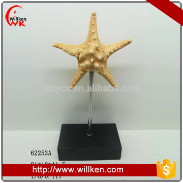 Starfish and seashell decorations wholesale seashells