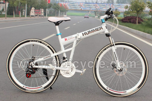 New Style MTB Folding Mountain Bike/Mountain Bicycle (FT-SDC-025)