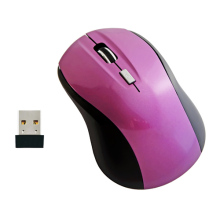 2.4G Wireless Optical Fashion Ergonomics Mouse (NV-M828RF)