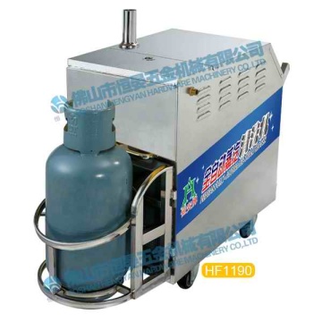 LPG portable steam car washer