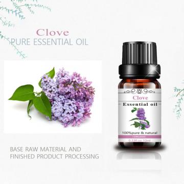 100% Pure Natural Clove Essential Oil for Aromatherapy