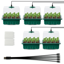 Home Mushroom Growing Kit: Quick Start Guide for Vegans and Herb Lovers
