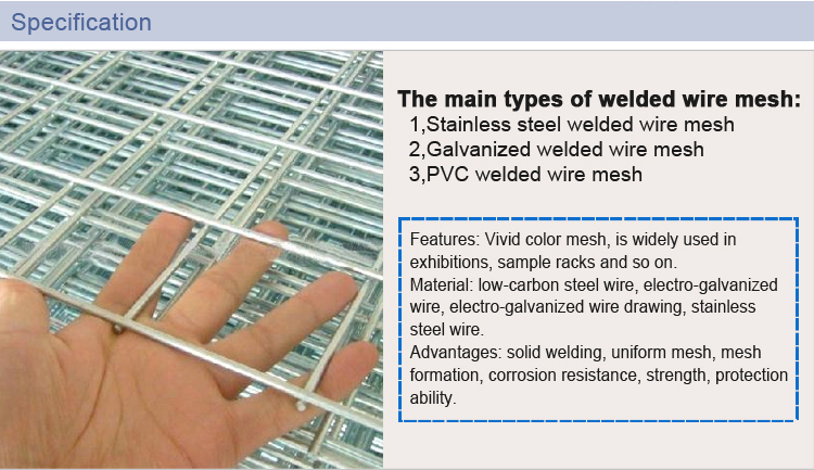 China PVC Coated Welded Wire Mesh Panel