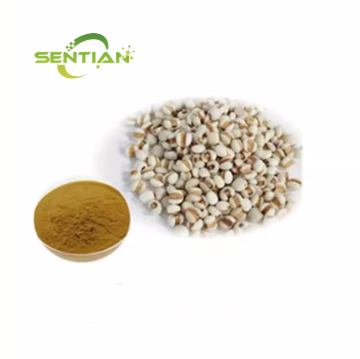 Natural Coix Seed Extract Powder