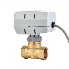 Two Way Brass Electric Valve