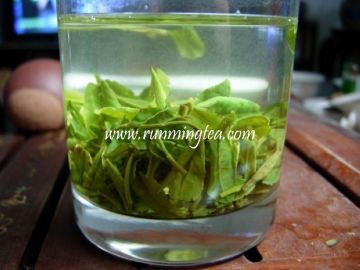 healthy green slimming tea