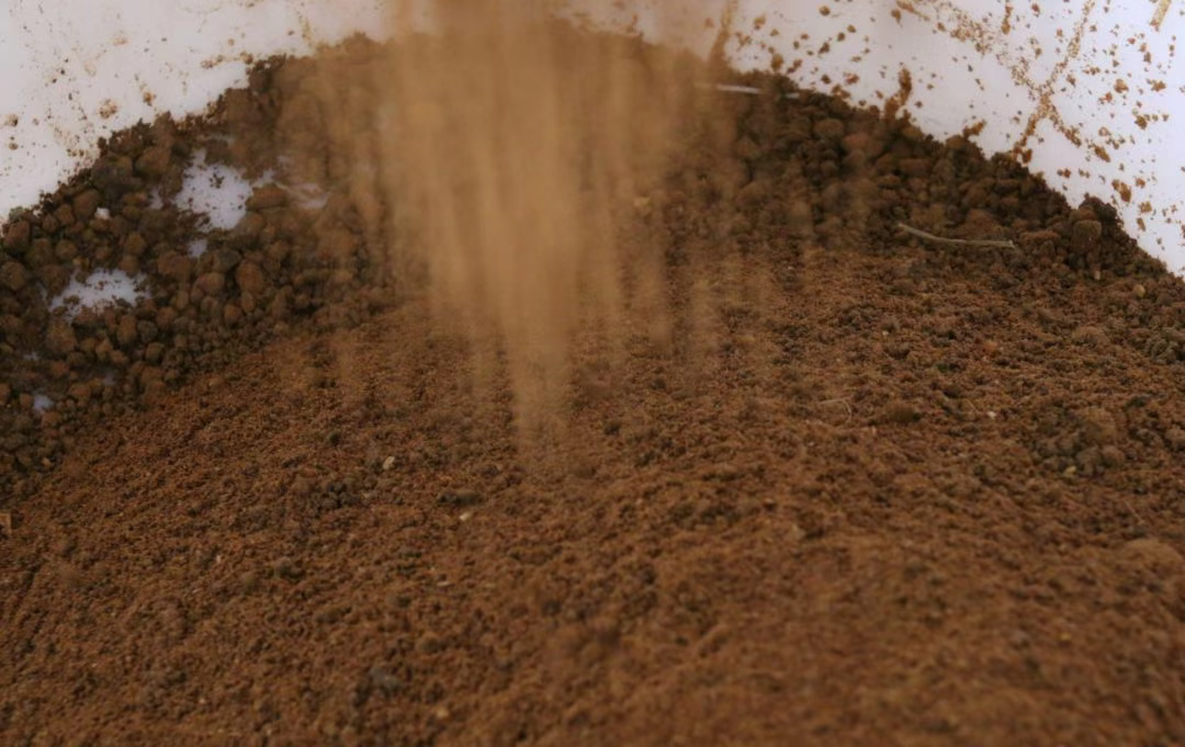 পোল্ট্রি বর্জ্য খাবার মেশিন/মুরগির বর্জ্য রেন্ডারিং প্ল্যান্ট মেশিন