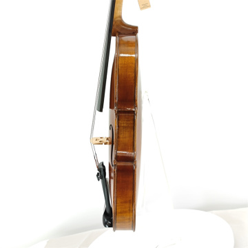 Popular violino maciço de verniz sprite