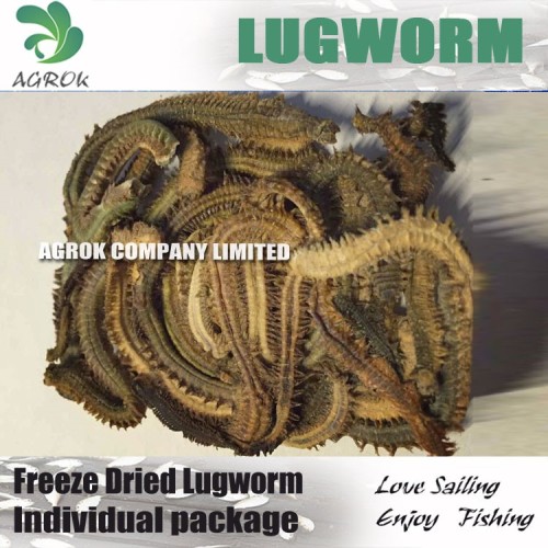 Dehydrated Lugworm