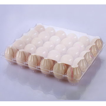 Caixa de plástico para ovos em PVC