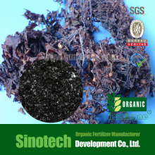 Humizone Stimulate Microbiological Activity Fertilizer: Seaweed Extract Flake (SWE-F)