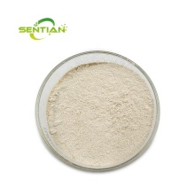 Acid Protease for Different Applications