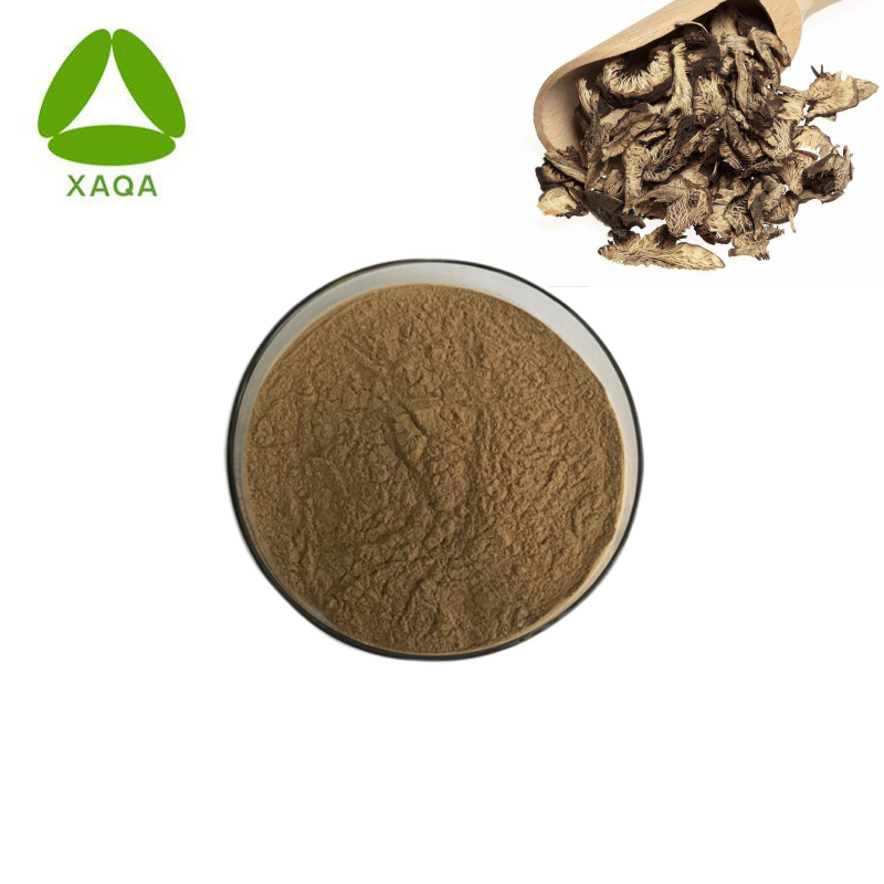 DONG NATURAL QAI Black Cohosh Extract Powder 10: 1