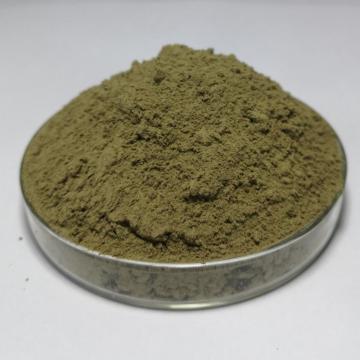 Versatile pure buckwheat extract powder