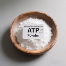 XJeson's Adenosine Triphosphate Cellular Energy Booste