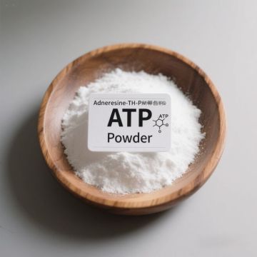 XJeson's Adenosine Triphosphate Cellular Energy Booste