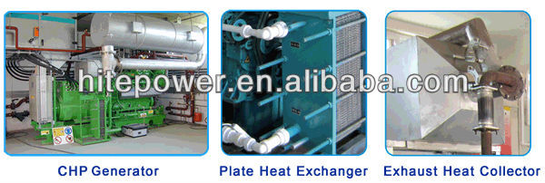 AC Three Phase Output Type gas engine generator power plant