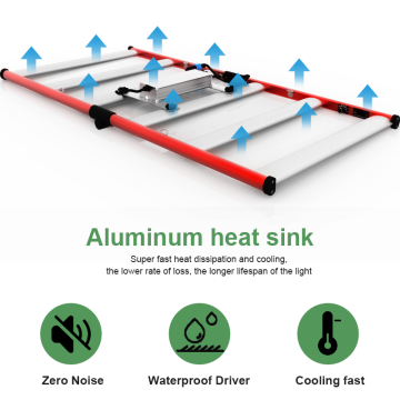 320W LED Grow Light for Hydroponics Grow Cent