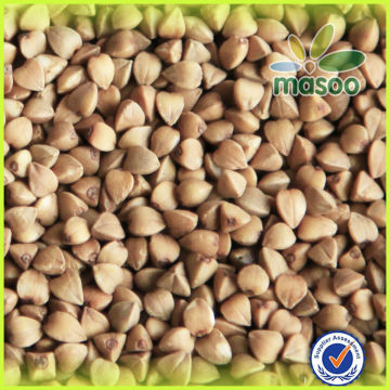 bulk chinese buckwheat hulls for sale