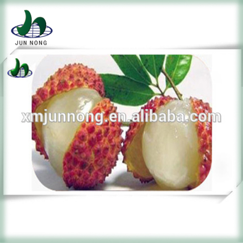 New delicious fresh litchi(lychee) fruit