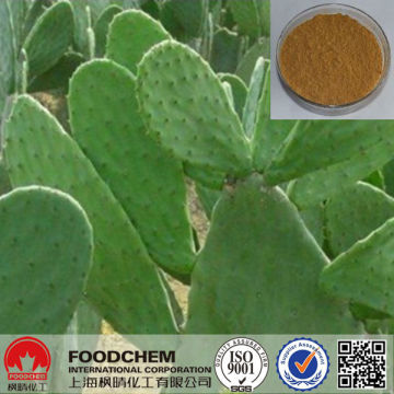 China Wholesale Nopal Cactus Extract