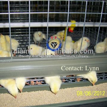 Africa Cheap Semi-automatic Metal Egg Layer Baby Chicken Coop for Laying Hen