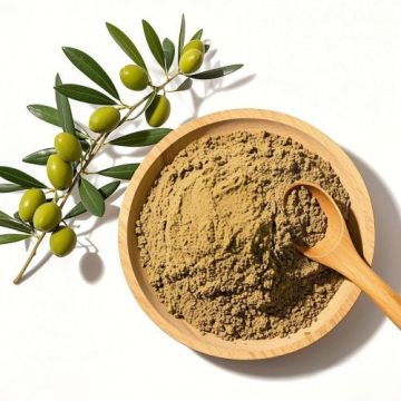 Bulk Olive Leaf Oil Extract for Cosmetics Nutraceuticals