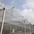 6m/8m/10m Large Multi span Film Greenhouse