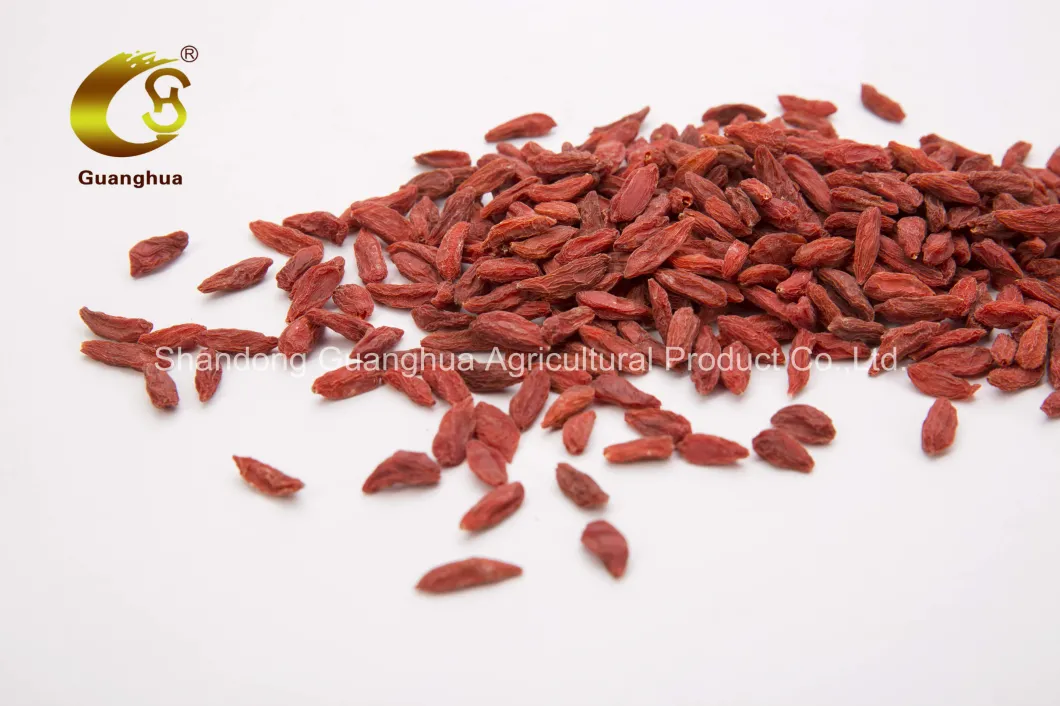 Perfect Hot Sale Dried Goji Berry From China