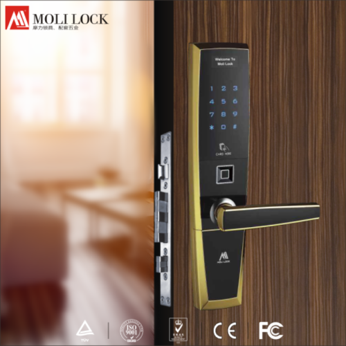 OEM Intelligent Door Lock For Home Automation System, High Quality Intelligent Fingerprint Door Lock With Biometric Sensor