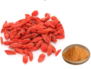 Organic High Quality Goji Powder