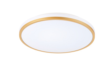LED bathroom customized ceiling light