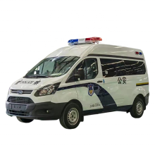 Ford V362 Prison Trucks: Light Duty Van for Prisoner Transport