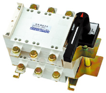 Dglz1-100~4000 Series Load Isolation Switch (DGLZ1-250)