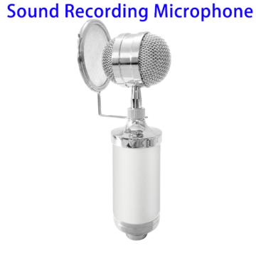 2017 Professional USB Condenser Microphone, Studio Recording Microphone